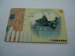 CHINA  USED   PHONECARDS  MAGNETIC MONUMENTS - Malerei
