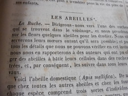 1839  Les Abeilles (Ruche, Reine, Cire Et Miel, Essaim, Ennemis Des Abeilles, Miel Vénéneux, Etc); JAVA Et Théâtres; Etc - 1800 - 1849