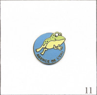 Pin's Animal - Agence De L’Eau - La Grenouille. Non Estampillé. EGF. T890-11 - Animaux