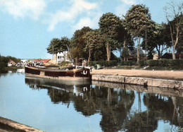 LANDRECIES Canal De La Sambre Et Jardin Public Péniche + - Landrecies