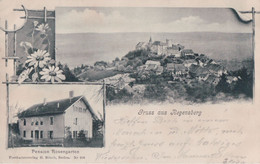 Gruss Aus Regensberg (1903) - Regensberg