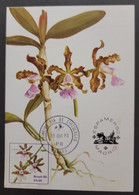 O) 1980 BRAZIL, CATTLEYA ORCHID, ESPAMER 80, AMERICAN EUROPEAN PHILATELIC EXHIBITION, MAXIMUM CARD - Tarjetas – Máxima