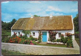 IRELAND GREAT BRITAIN UK UNITED KINGDOM IRISH HOMESTEAD TRADITIONAL POSTCARD ANSICHTSKARTE PICTURE CARTOLINA PHOTO CARD - Cork