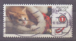 België - Duostamp  - Kat  - Zonder Papierresten - Used