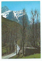 CHORCO DE LOS LOBOS - DESFILADERO DEL RIO CARES.- PICOS DE EUROPA.- VALLE DE VALDEON - LEON.-  ( ESPAÑA) - León