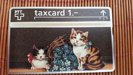 Cats Phonecard (Mint,Neuve) Rare - Gatti