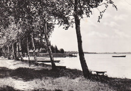 Deutschland - Rangsdorf - Seepromenade - Vg - Rangsdorf