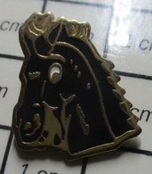 2817 Pin's Pins / Rare Et De Belle Qualité !!! ANIMAUX / TETE DE CHEVAL NOIR - Animaux