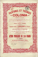 -Titre De 1921 - Filatures Et Tissages Colonia - - Textile