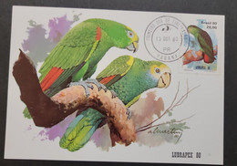 O) 1980 BRAZIL, LUBRAPEX, PSITTACIDAE, BIRD, PARROT, MAXIMUM CARD, XF - Cartes-maximum