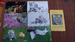 Cats 7 Phonecards Used Rare - Katten