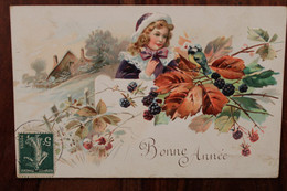 AK 1908 Cpa Bonne Année Femme Fleurs Oiseaux Illustrateur Carte Gaufrée - New Year