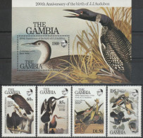 THEMATIC FAUNA:  BIRDS.  TURKEY VULTURE, AMERICAN DARTER, GREEN HERON, WOOD DUCK,  GREAT NORTHERN DIVER  - GAMBIA - Flamants