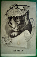 Cpa Chat Habillé PORTRAIT De CHATTE Coiffée D'un BONNET à RUBAN , 1907 , Dressed  SERIOUS CAT  KATZE OLD  PC - Geklede Dieren