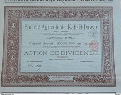 EGYPT - Details About Societe Agricole De Kafr-El-Dawar SA , 1907 - Landbouw