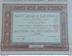EGYPT - Details About Societe Agricole De Kafr-El-Dawar SA , 1907 - Agriculture