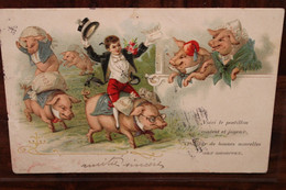 AK 1904 Animaux Habillés Cochons Humanisés Porte Chance Argent Cpa Voyagée De Brive Pour Les Menas à Etrechet Indre - Dressed Animals