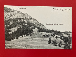 Sparbacher Hütte Schneeberg 4867 - Schneeberggebiet