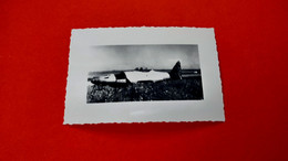 2 WK Foto Photo WWII Luftwaffe The Messerschmitt Me 262, Nicknamed Schwalbe - 1939-45