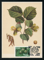 ANDORRA (2022) Fulles D'arbre Avellaner, Noisetier, Haselnuss, Hazelnut, Papillon, Butterfly - Carte Maximum Card - Other & Unclassified