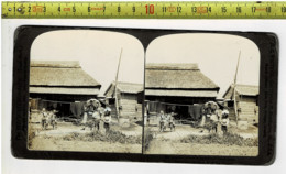 154 - STEREOGRAPH  - H.C. WHITE CO - JAPANESE CHILDREN - Visionneuses Stéréoscopiques
