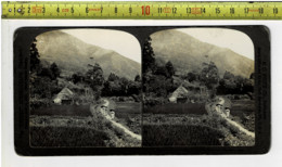 156 - STEREOGRAPH  - H.C. WHITE CO - SACRED RAED JAPAN - Visionneuses Stéréoscopiques