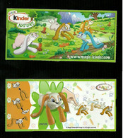 Kinder Ferrero BPZ - Cartina UN 26 - Salta Coniglio - Notes