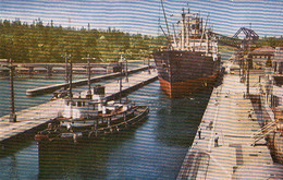 3156 – Seattle Washington WA – Government Locks - Écluse Boat Bateau – VG Condition – 2 Scans - Seattle