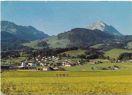 Suisse -  Le Paquier -   En Gruyere - Le Pâquier