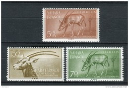 Sahara 1955. Edifil 123-25 ** MNH. - Sahara Español