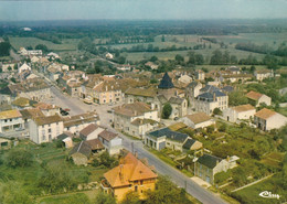 87. BUSSIERE POITEVINE. CPSM. VUE AERIENNE.  VUE GENERALE - Bussiere Poitevine