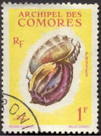 COMORES - Coquillage : Grande Harpe (Harpa Conoidalis) - Used Stamps