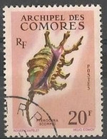 COMORES - Coquillage : Conque Araignée Scorpion (Lambis Scorpio) - Oblitérés