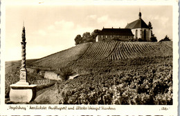 40983 - Deutschland - Vogelsburg An Der Mainschleife Bei Volkach , Weingut Frankens - Nicht Gelaufen - Kitzingen