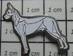 410B PIN's PINS / Rare Et De Belle Qualité / ANIMAUX / CHIEN  BLANC GENRE DANOIS - Animaux