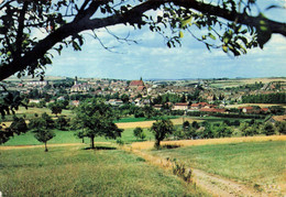 67 - WASSELONNE - S05626 - Vue Générale - CPSM 15x10 Cm - L1 - Wasselonne