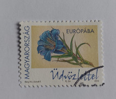 N° 4629       Gentiane De Koch  -  Fleur - Used Stamps