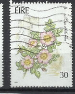 EIRE IRELAND IRLANDA 1990 FLORA GARDEN FLOWERS ROSA X HIBERNICA 30p USED USATO OBLITERE' - Used Stamps