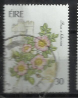 EIRE IRELAND IRLANDA 1990 FLORA GARDEN FLOWERS ROSA X HIBERNICA 30p USED USATO OBLITERE' - Used Stamps