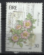EIRE IRELAND IRLANDA 1990 FLORA GARDEN FLOWERS ROSA X HIBERNICA 30p USED USATO OBLITERE' - Used Stamps