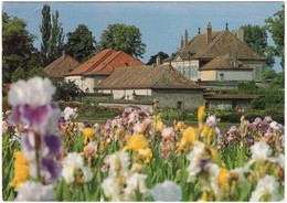 Gf. VULLIERENS. Jardin D'Iris. Château De Vullierens - Vullierens