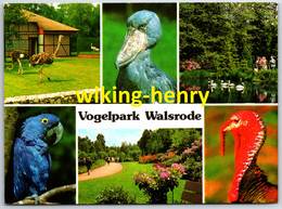 Walsrode - Vogelpark Walsrode 5 - Walsrode