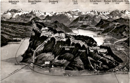 Bürgenstock - Panorama (4055) * 31. 1. 1962 - Sonstige & Ohne Zuordnung