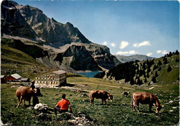 Berghaus Urnerstaffel, Bannalp * 23. 9. 1970 - Other & Unclassified