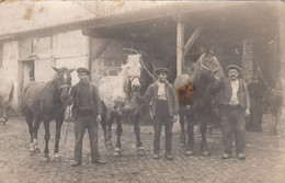 CPA (carte Photo A Situer) Interieur De Ferme (chevaux)b Carte Photo (petit Defaut) - Fermes