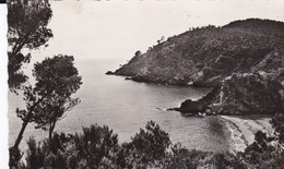 CPSM CAVALAIRE SUR MER PLAGE ET CALANQUE DE BON PORTEAU - Cavalaire-sur-Mer