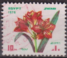 Flore, Fleur - EGYPTE - Amaryllis - N° 1000 - 1976 - Used Stamps