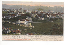 USTER Guggenheim No. 11848 Gel. 1905 N. Horgen - Horgen