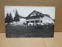 Douane France Suisse ? Carte Photo Chalet Vaches - Dogana