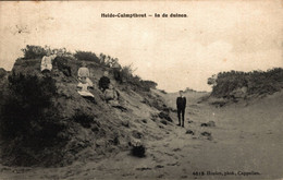 Heide Calmpthout - Kalmthout